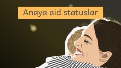 anaya aid statuslar