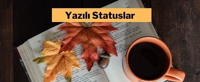 yazili statuslar sekiller 2020