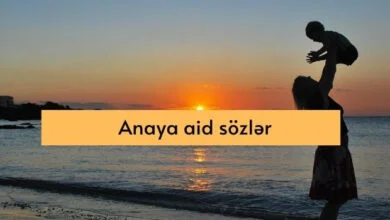 anaya aid sozler