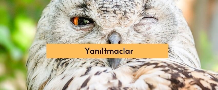 yaniltmaclar