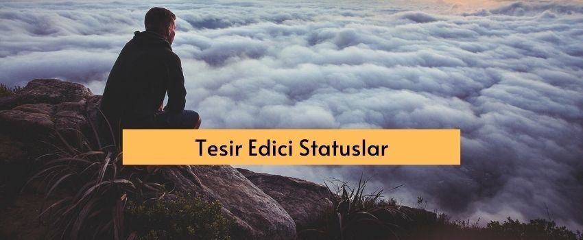 Tesir edici statuslar