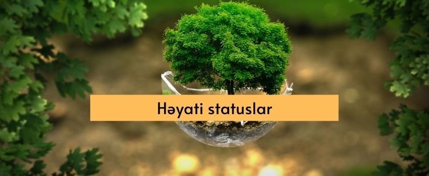 Heyati statuslar