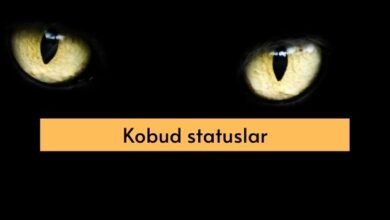 Kobud statuslar