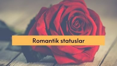 Romantik statuslar