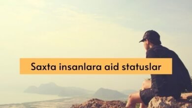 Saxta insanlara aid statuslar