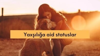 Yaxsiliga aid statuslar