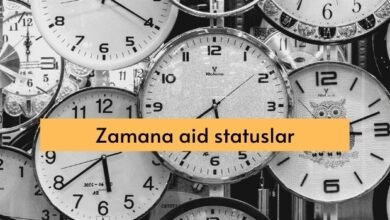 Zamana aid statuslar