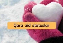 Qara aid statuslar
