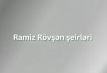 Ramiz Rovsen seirleri, seirler, sevgi seirleri