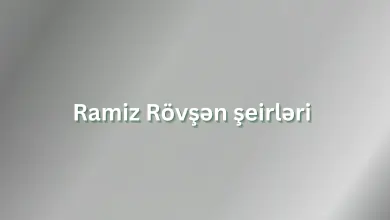 Ramiz Rovsen seirleri, seirler, sevgi seirleri