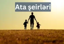 Ataya aid seirler, ata seirleri,atalar