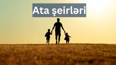 Ataya aid seirler, ata seirleri,atalar