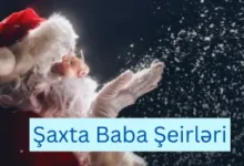 Saxta Baba seirleri, Saxta Babaya aid seir